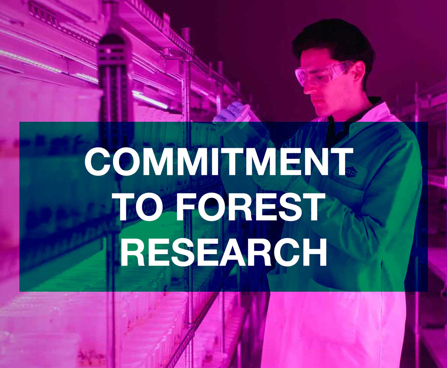 tile-COMMITMENT-TO-FOREST-RESEARCH.jpg