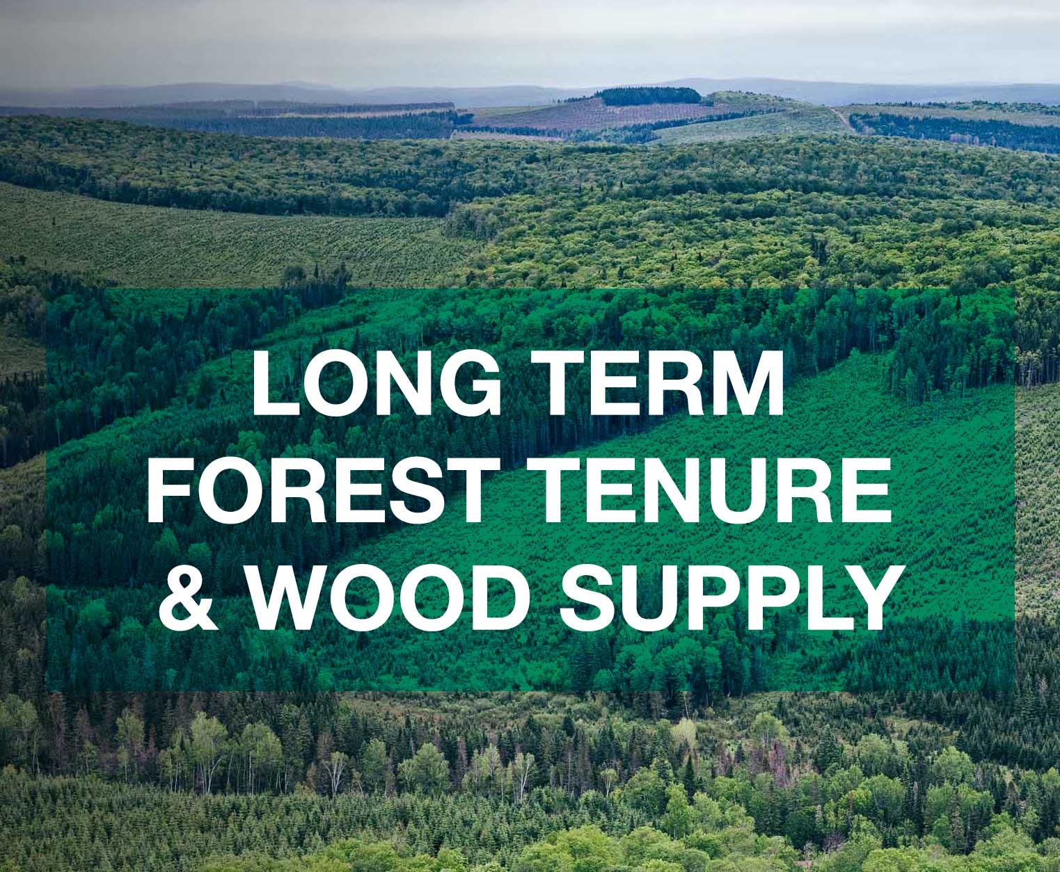 tile-Long-Term--Forest-Tenure-Wood-Supply.jpg